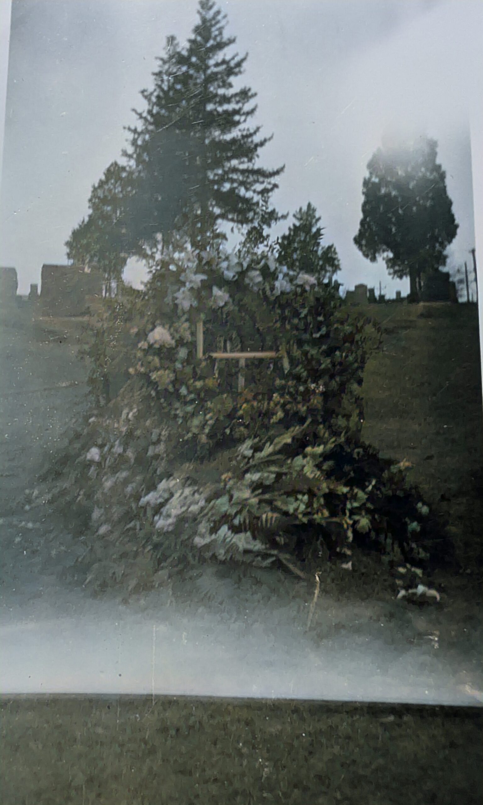 Grave covered with greenery and flowers