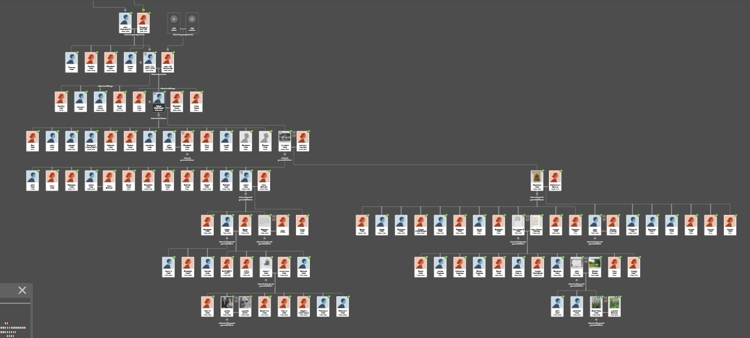 family tree showing Motts from John Mott down 7 generations