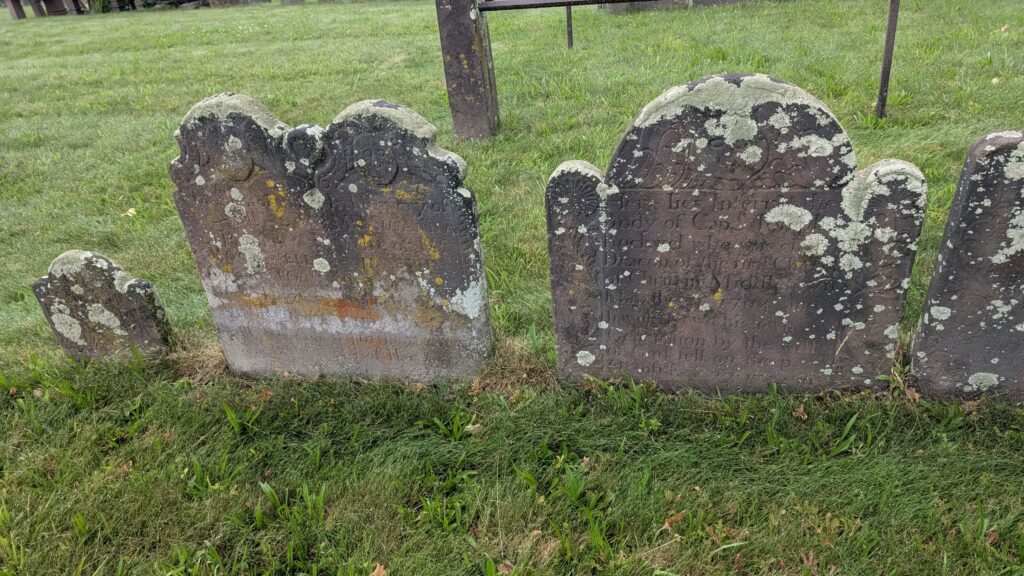 moss covered brownstone grave stones