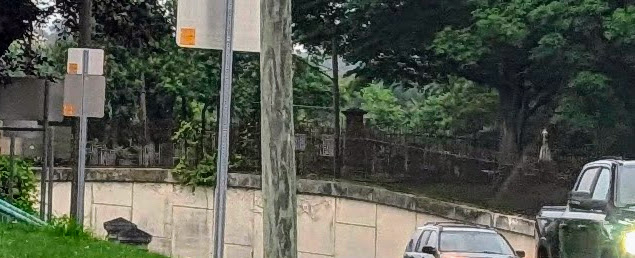 above a busy road under a canopy of trees an iron fence and grave markers are visible in the distance