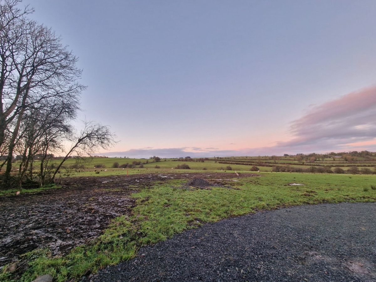 scenes from co roscommon