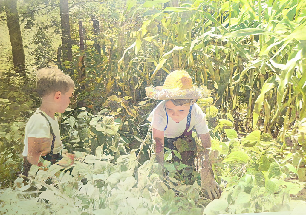 two boys gardening